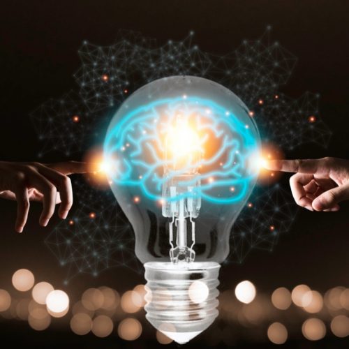 Investigación y Desarrollo (I+D)